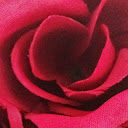 Debra M.