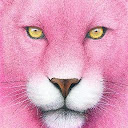 Pink Pinky1