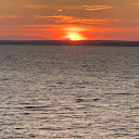 Dawn Stephenson