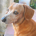 Amui Chong