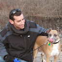 Noam Segal