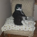 Lisa Flecca