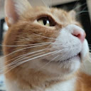 Finnegan “Finn” Tempestus