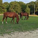 Don and Suzi Kersey