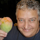 Nic Duailibi