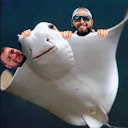 TheSaltyStingrays