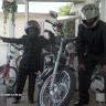 Shogun D