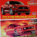 Yadira Auto Import