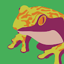 Pimp